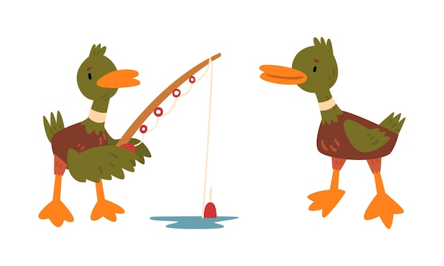 Vector male mallard duck with orange bill standing with fishing rod catching fish vector set