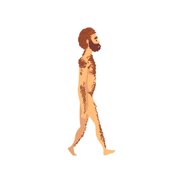 Vector male neanderthal biology human evolution stage evolutionary process of woman vector illustration