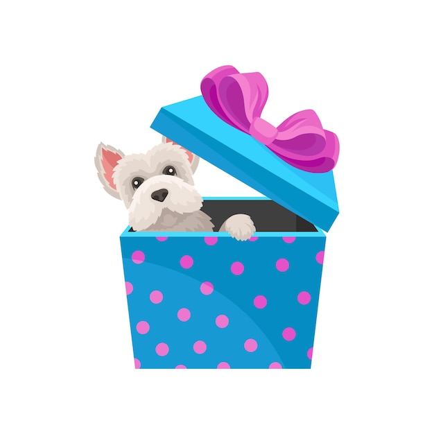 Maltese dog peeking out of blue gift box with pink bow Adorable puppy with shiny eyes Graphic element for Christmas or Birthday greeting card Cartoon style icon Isolated flat vector illustration