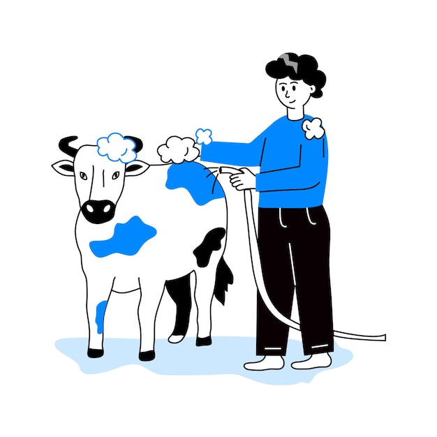 A man bathing a cow animal care eid al adha illustration