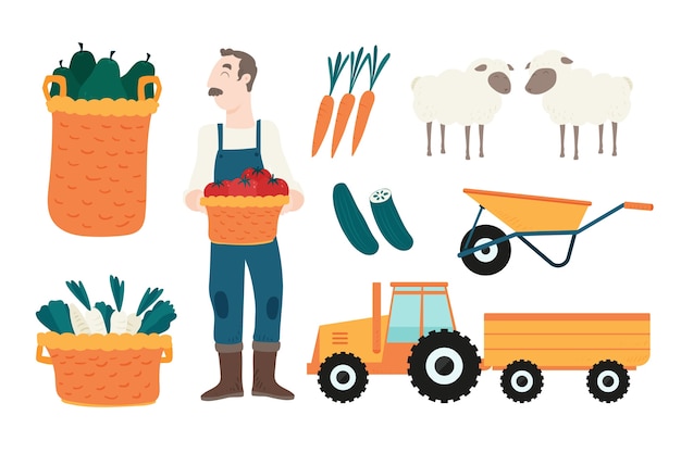 Man holding a basket of tomatoes at the farm