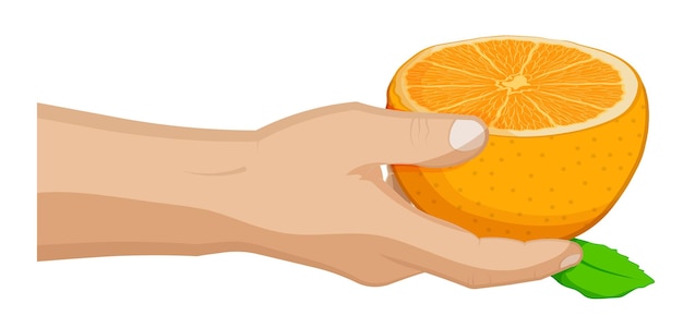 Man treats friend with half ripe juicy orange Summer fruits and vitamins Sweet treat for children Cartoon vector on white background