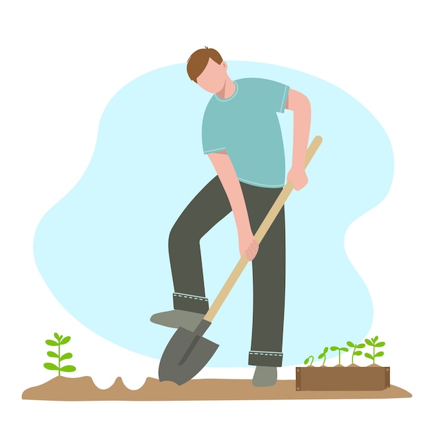 Man with a shovel digs holes for planting plants Vector