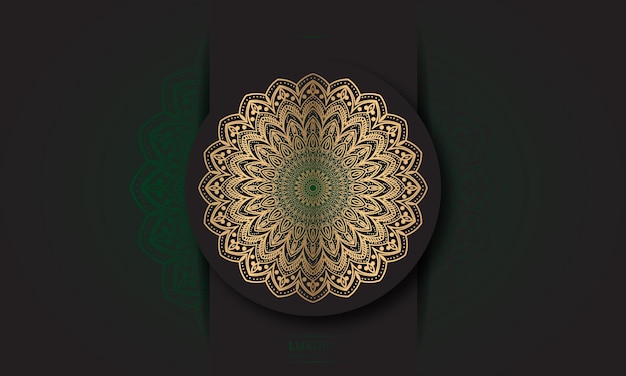 Mandala design  Unique view design with gradient color.