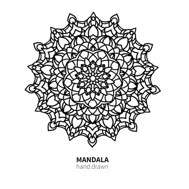 Mandala flower vector drawing