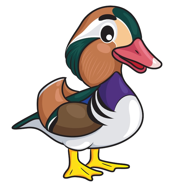 Mandarin Duck Cartoon