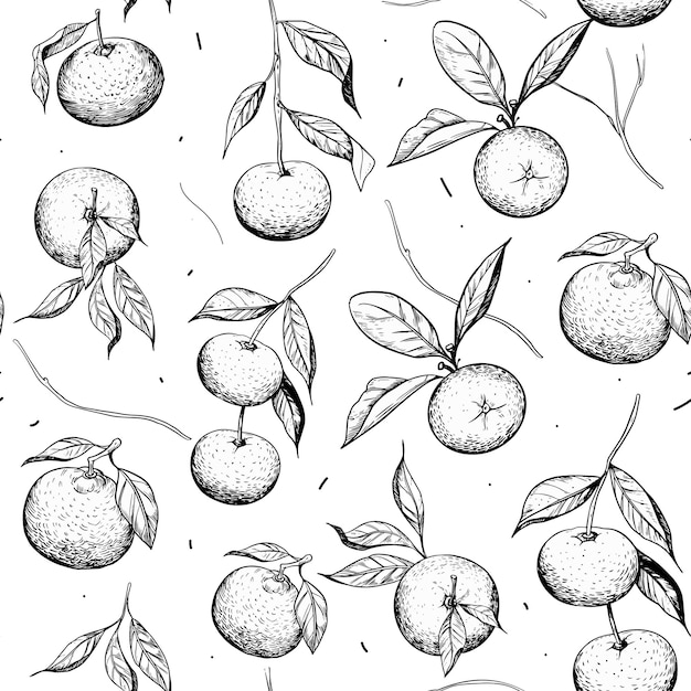 Mandarin. Seamless pattern. Sketch illustration set. Vector