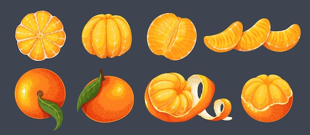 Mandarin set whole sweet citrus fruit twist peel and slices clementine with leaves