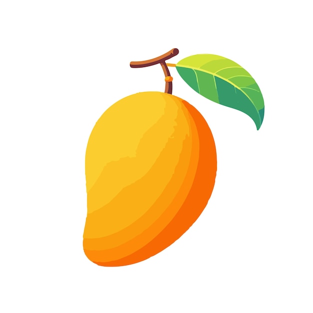 Mango fresh fruit vector illustration