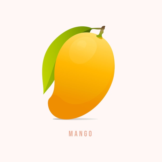 Mango fruit Modern style vector illustration