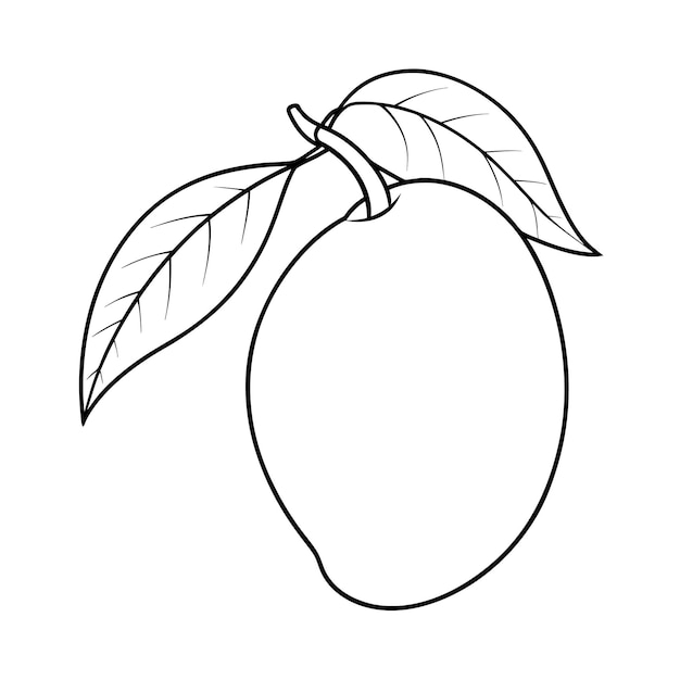 Mango Fruits Coloring Book with Realistic Leaves