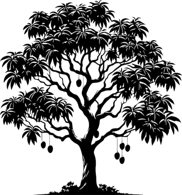 Mango Tree vector black color silhouette