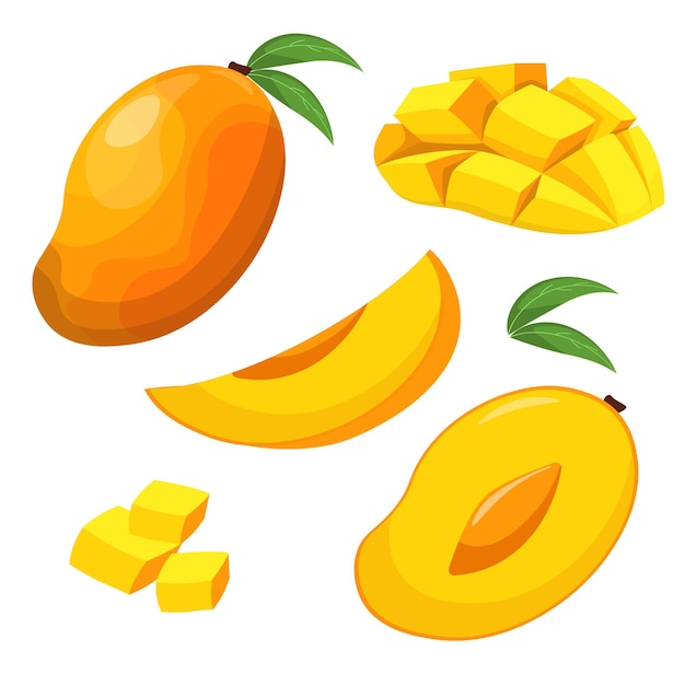 Vector mango whole and cut vector illustration