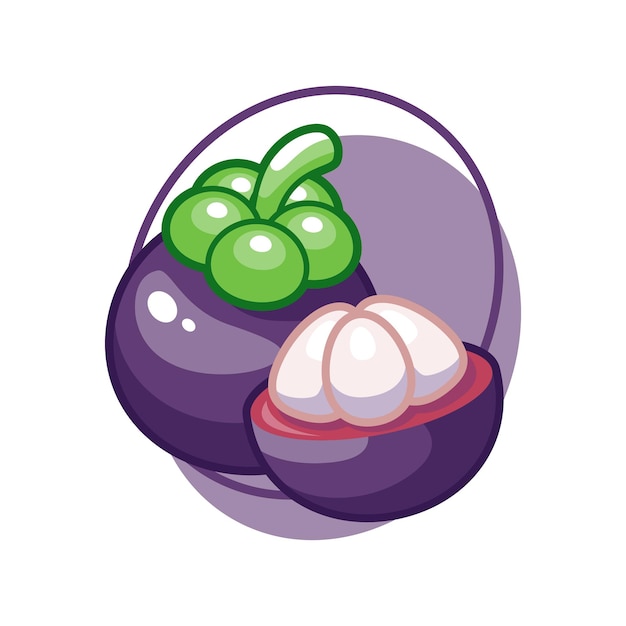 Mangosteen fruit drawing illustration design