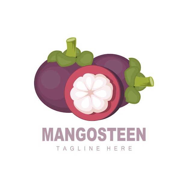 Mangosteen Logo Design Fresh Fruit Vector for Skin Health Fruit Shop Brand Illustration And Natural Skin Medicine