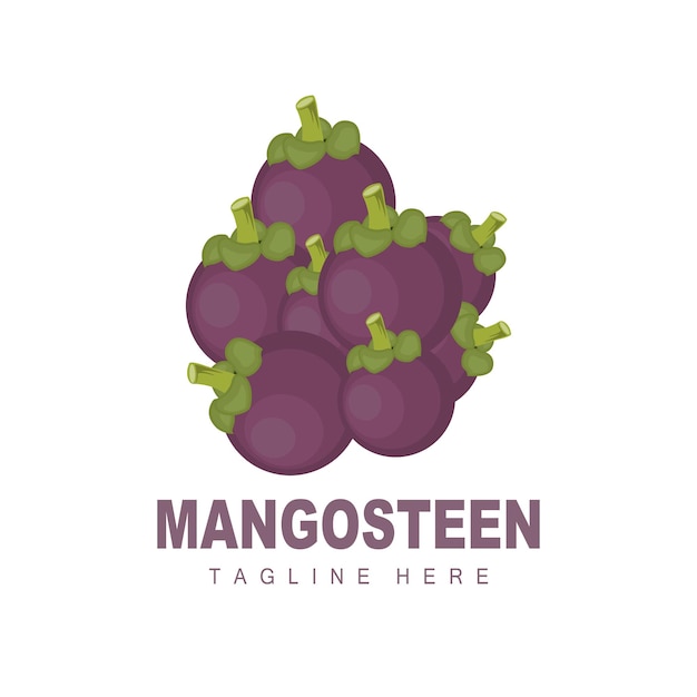 Mangosteen Logo Design Fresh Fruit Vector for Skin Health Fruit Shop Brand Illustration And Natural Skin Medicine