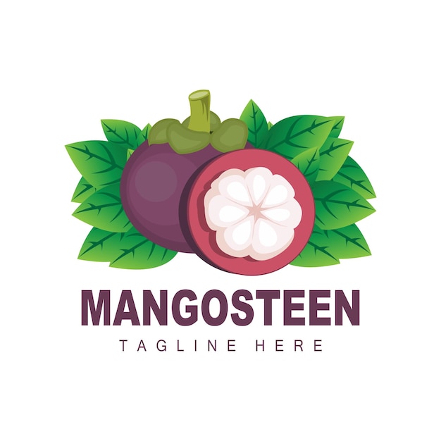 Mangosteen Logo Design Fresh Fruit Vector for Skin Health Fruit Shop Brand Illustration And Natural Skin Medicine