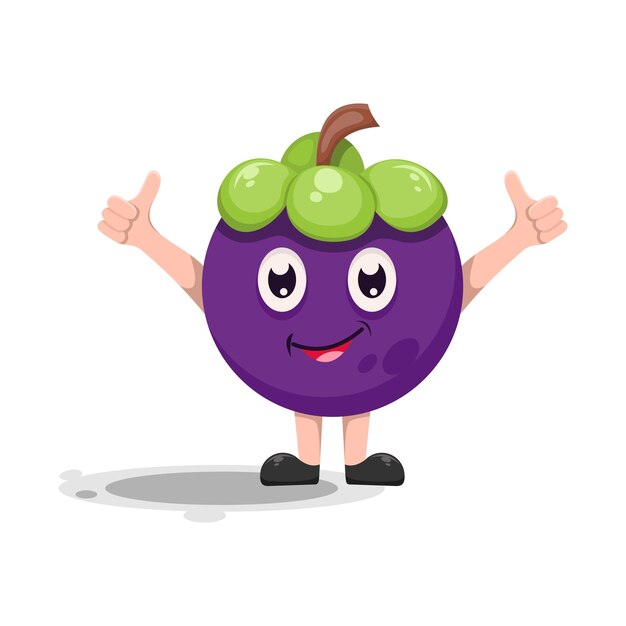 mangosteen mascot charecter cartoon design