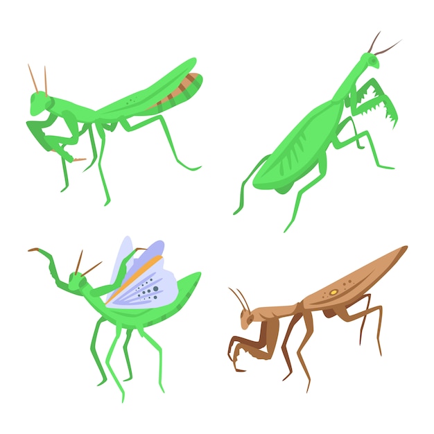 Mantis set, isometric style