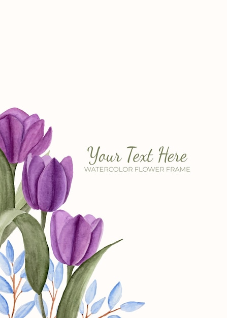 Manual painted of purple tulip flower watercolor as background frame