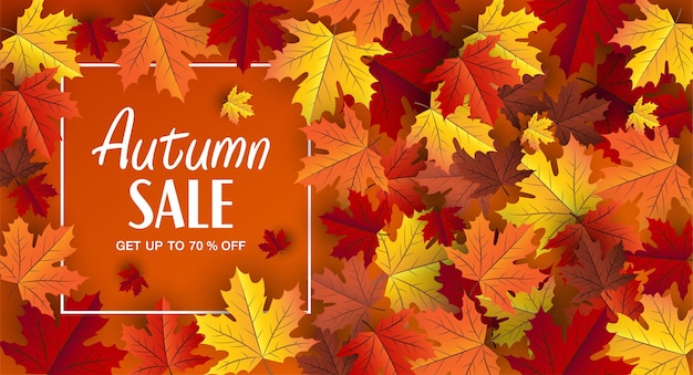 maple leaf autumn vector background