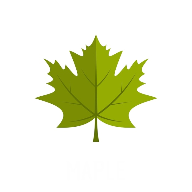 Maple leaf icon Flat illustration of maple leaf vector icon isolated on white background