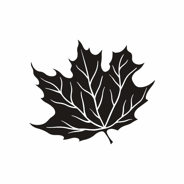 Maple Leaf Icon Symbol Logo Design Black and White Stencil Flat Vector Illustration