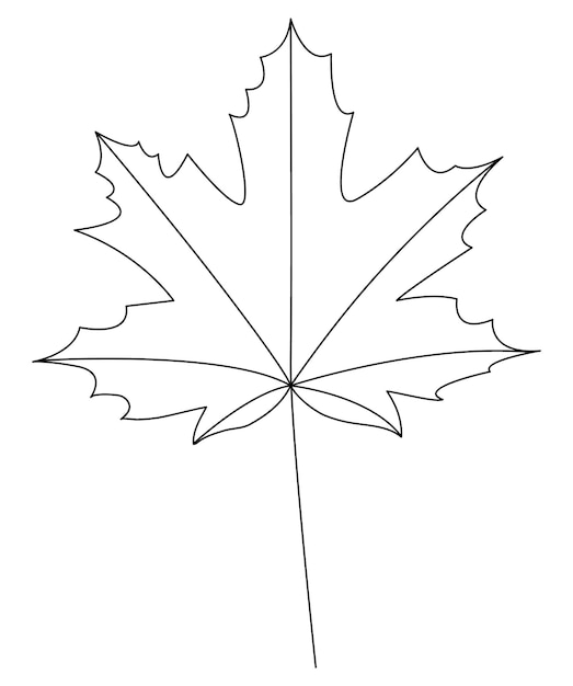 Maple leaf isolated on a white background. Black outline