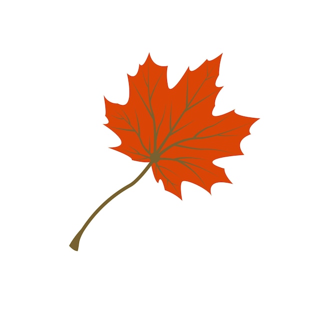 Maple leaf logo Template vector icon illustration design