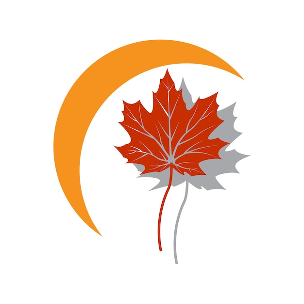 Maple leaf logo Template vector icon illustration design