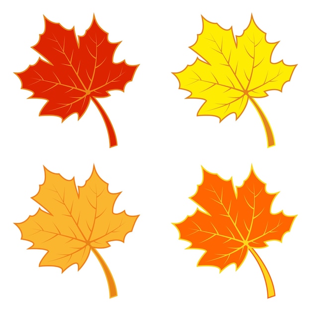 Maple leaf logo Template vector icon illustration design