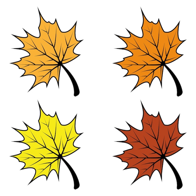 Maple leaf logo Template vector icon illustration design