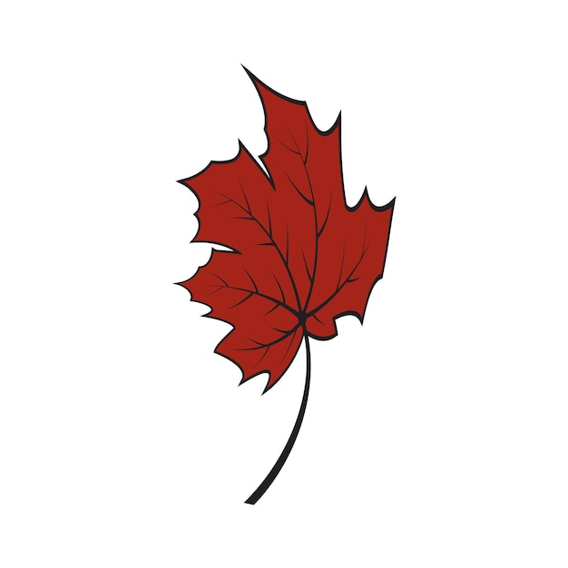 Maple leaf logo Template vector icon illustration design