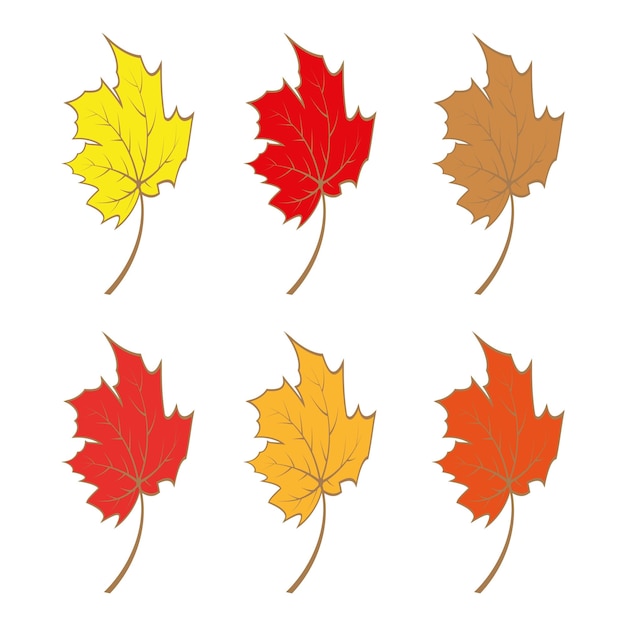 Maple leaf logo Template vector icon illustration design