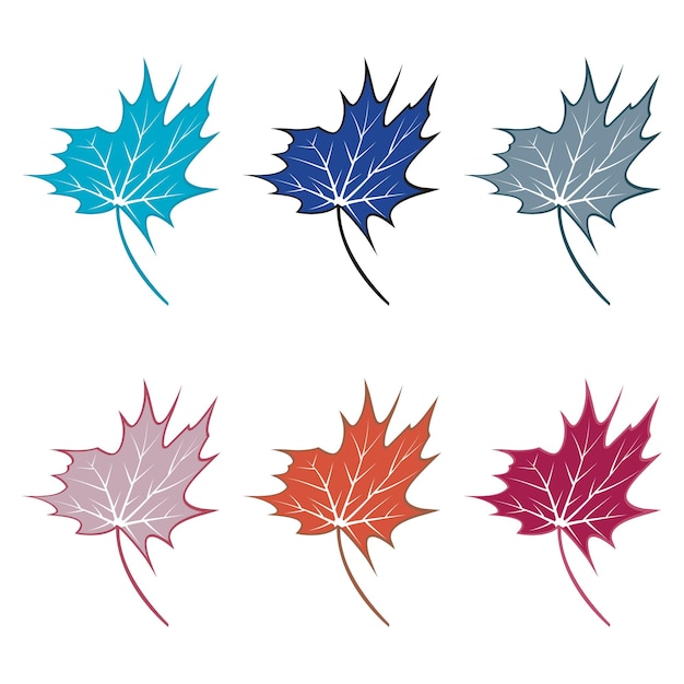 Maple leaf logo Template vector icon illustration design