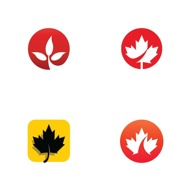 Maple leaf vector illustration