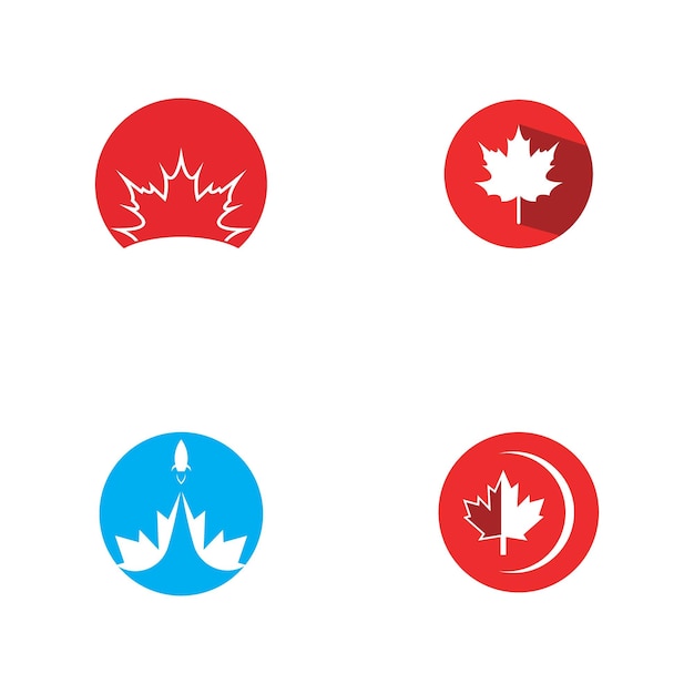 Maple leaf vector illustration