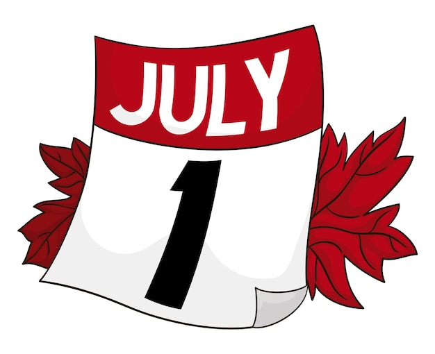 Vector maple leaves and calendar commemorating canadas independence day this july 1st