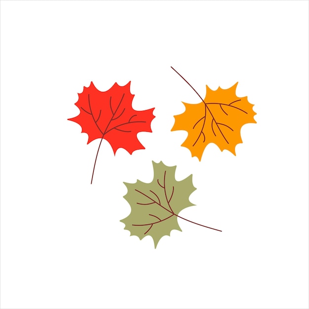 Maple Leaves Element for Autumn Design