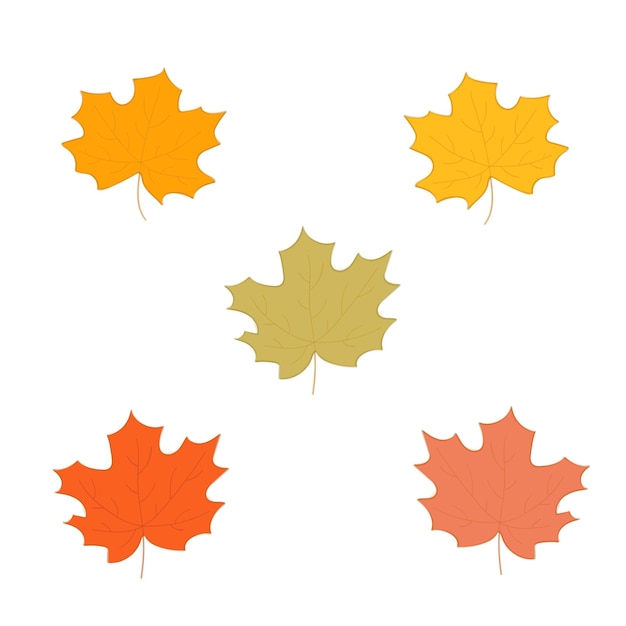 Maple leaves set with watercolor stroke autumn leaves, leaf fall, maple isolated on white background