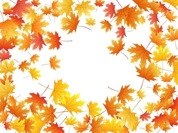 Vector maple leaves vector background autumn foliage on white graphic design