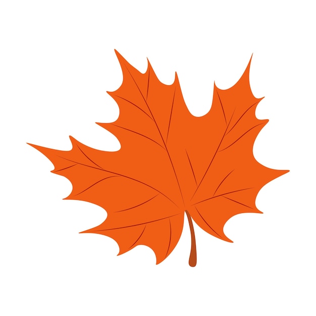 Maple leaves vector illustration Autumn Fall leaves maple