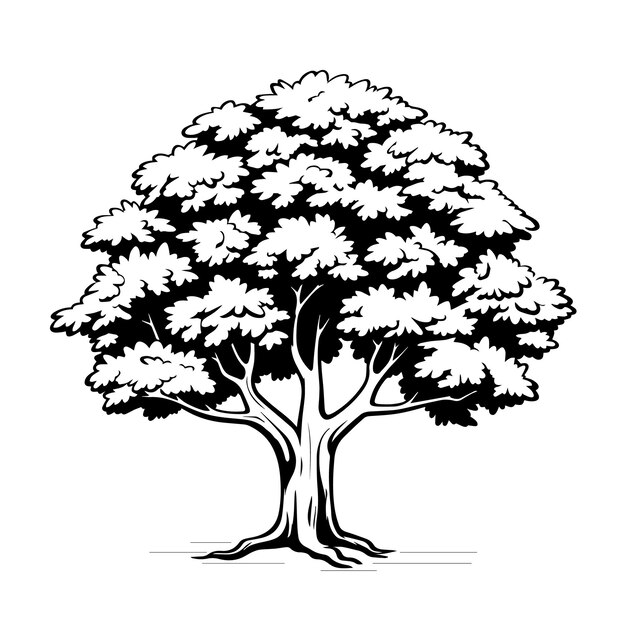 Maple tree silhouette vector illustration Maple tree silhouette Icon and Sign