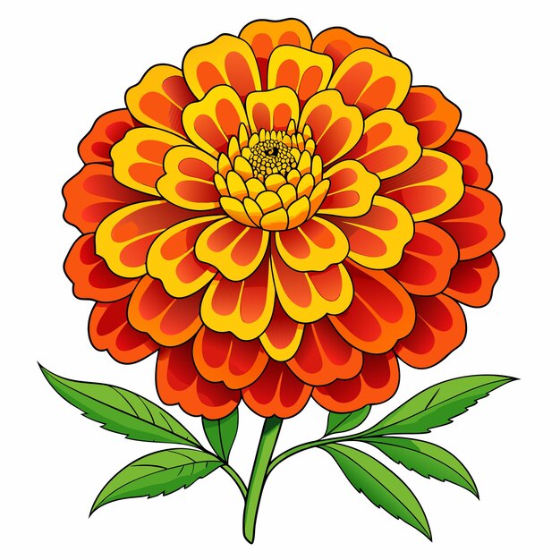 Vector marigold flower clipart cartoon style vector illustration