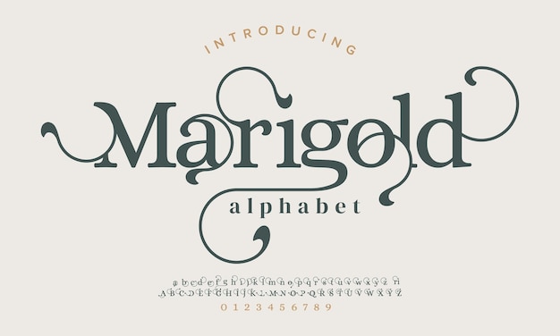 Marigold luxury elegant alphabet letters and numbers Elegant wedding typography classic serif font