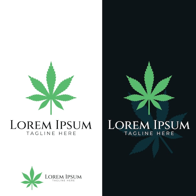 Marijuana or cannabis leaf logo or illustration template vector design