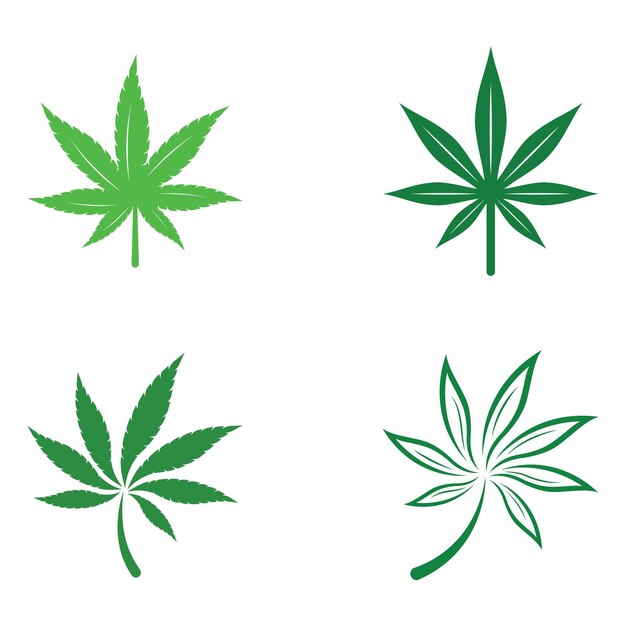 Marijuana or cannabis leaf logo or illustration template vector design