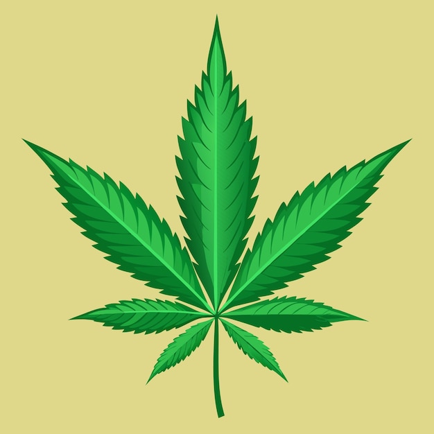 marijuana leaf clipart cartoon style vector illustration