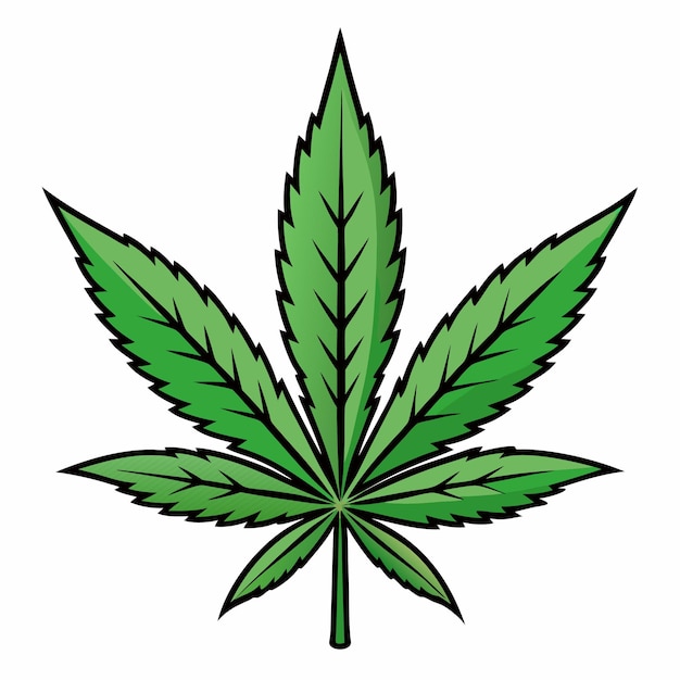 marijuana leaf clipart cartoon style vector illustration