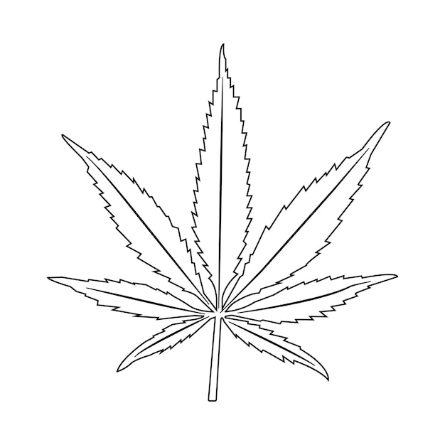 Vector marijuana leaf icon